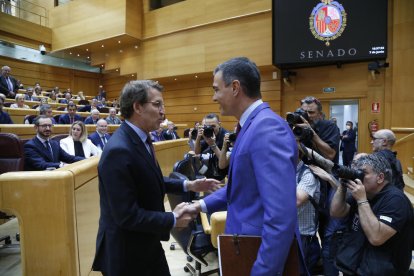 Feijóo y Sánchez se saludan antes de sus respectivas intervenciones.