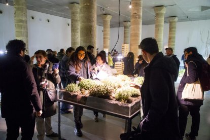 El Centre d'Art la Panera inaugura la nova col·lecció d'exposicions