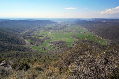 Imatge dels boscos de la Baronia de Rialb.