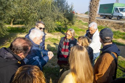 Torres de Segre inicia visites guiades a camps amb les primeres flors