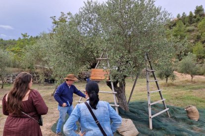 Periodistas extranjeras en una finca de La Pobla de Cérvoles. 