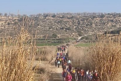 Los participantes pudieron hacer la ruta de Torres de Segre acompañados por sus mascotas.