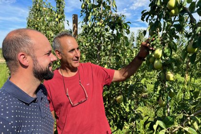 Un momento de la visita de ayer a campos de frutales en Corbins.