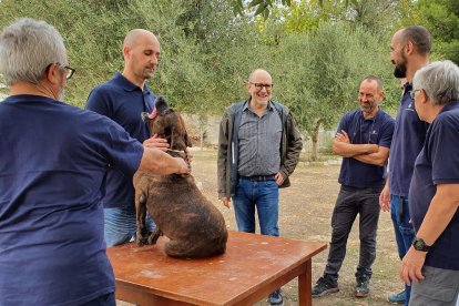 Visita del regidor Jaume Rutllant al Refugi dels Peluts.