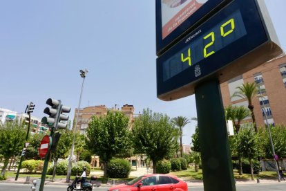 La calor i la covid es van cobrar al juliol gairebé 10.000 morts més que el 2019