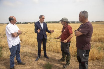 Joana y Crespín comprobaron sobre el terreno los daños en esta finca de Concabella.