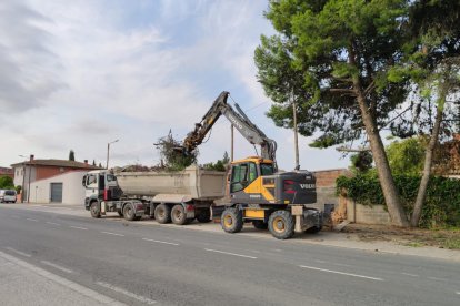 Treballs a Alcarràs per retirar les branques que van caure d’un arbre durant l’aiguat de dimarts.