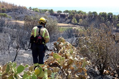 Un bomber remulla una zona afectada per les flames a Colera.