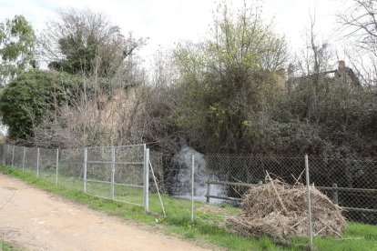 Imagen del salto de agua, que también muestra que la maleza se ha adueñado del antiguo molino.