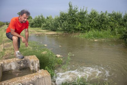 Pere Ramon Pont, de Claravalls, regant ahir a la tarda una plantació de pomeres.