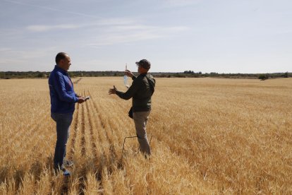 Peritatge d’una finca a Aspa el mes de maig passat.