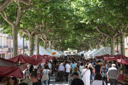 El mercado ferial suma medio centenar de expositores en la rambla Dr Pearson.