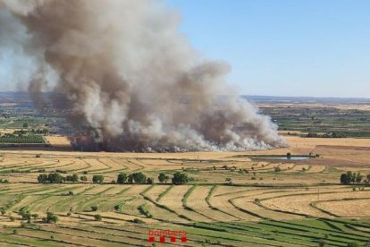 Incendi entre les partides de Balàfia i Llívia a Lleida.