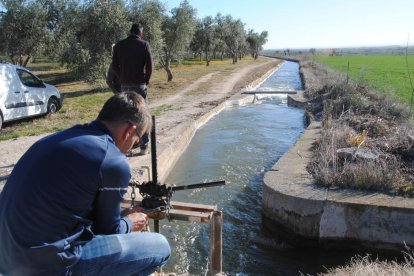 Un agricultor aixeca la pala per regar des del canal Principal d'Urgell en una imatge d'arxiu.