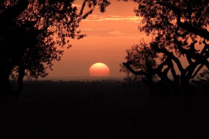 Fotografía hecha por Josep Regí en el camino de la Figuerosa, Altet, un día de octubre de este año.