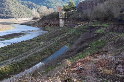 El fondo seco de la cola del embalse de Oliana, en el Segre, donde ha crecido vegetación.