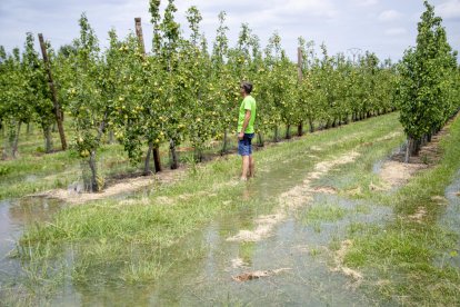 Inicio del primer turno de riego en una finca de Miralcamp el pasado 6 de julio.