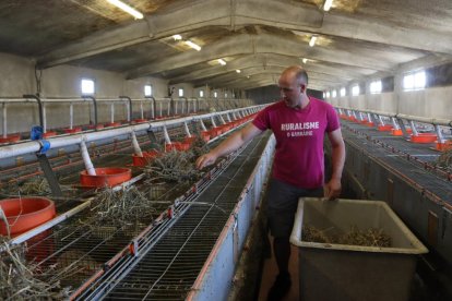 Arnau Vilaseca, un dels tres emprenedors, a la seua granja de Prades de la Molsosa.