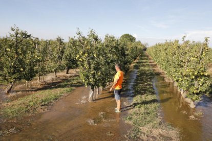 Un payés dando agua en su finca de Mollerussa tras la apertura del nuevo turno de riego.