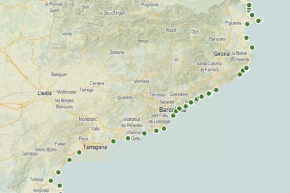 Más de la mitad de municipios costeros de Catalunya tendrán playa para perros este verano