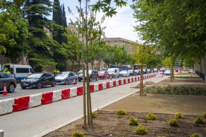 Cues per les obres per asfaltar la rambla d'Aragó de Lleida