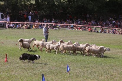 Uno de los participantes en el concurso de Gossos d'Atura de Llavorsí con los espectadores al fondo