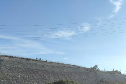 Un rural capturando ayer un ternero con teleanestia. 