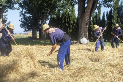 La Fuliola rememoró ayer los trabajos de la siega en una nueva jornada de éxito de visitantes a pesar del intenso calor.