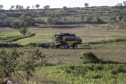 Una cosechadora trabajando una finca de la Segarra. 