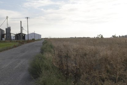 Imatge d’arxiu de sòl industrial de l’Incasòl a Almacelles.