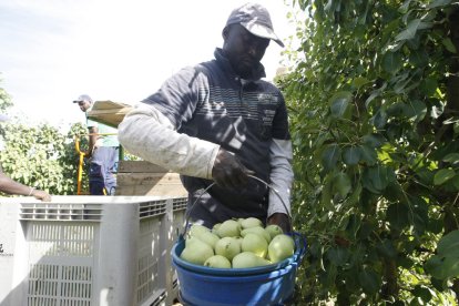 El tracte laboral condicionarà l’entrega d’ajuts de la PAC.