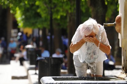 La calor extrema va disparar la mortalitat un 20 % entre maig i agost de 2022