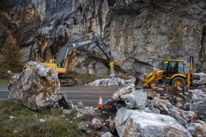 Al servei del Pirineu