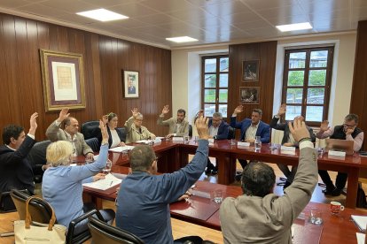 El pleno de ayer del Conselh Generau d’Aran. 