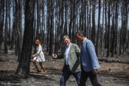 El presidente valenciano y el español visitaron la zona calcinada.