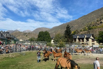 Exposición sobre el caballo pirenaico catalán en Esterri.