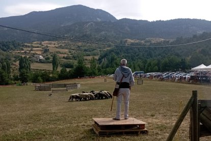 Un moment del concurs de gossos d’atura d’Odèn.