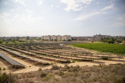 El parque solar de la partida de Balàfia ya es una realidad