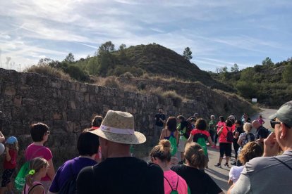 Caminada contra el càncer a Torrebesses