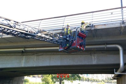 Revisió ahir dels Bombers al pont Vell, al marge esquerre del riu Segre a Lleida.