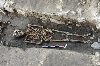 El esqueleto entero descubierto en la última excavación.