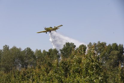 Un incendi calcina 5.000 metres quadrats de vegetació a Alcoletge