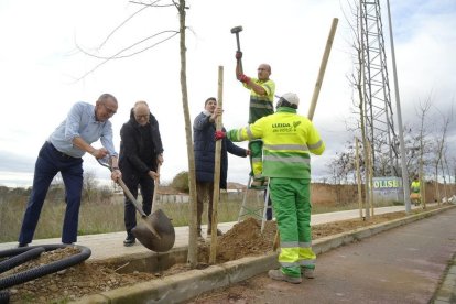 Campanya de plantació 2022-2023