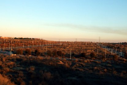 La zona de Torre Salses (SUR-42) de Lleida donde Eurofund y Frey proyectan construir un parque comercial y de ocio