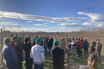 Los agricultores visitaron esta finca en el marco de la jornada organizada por JARC.