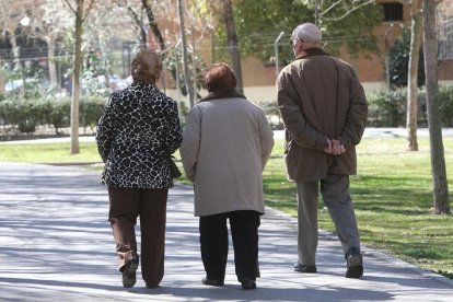 Un grupo de pensionistas paseando.