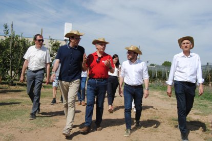 El President visitó la finca experimental del IRTA en Mollerussa. 