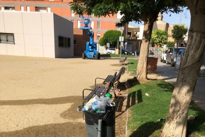 Papereres plenes en un dels parcs de Torrefarrera.