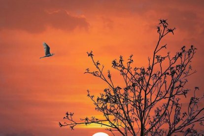 La fotografía ganadora es obra de Tere Esqué.