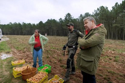 Chicote i el comerç de bolets